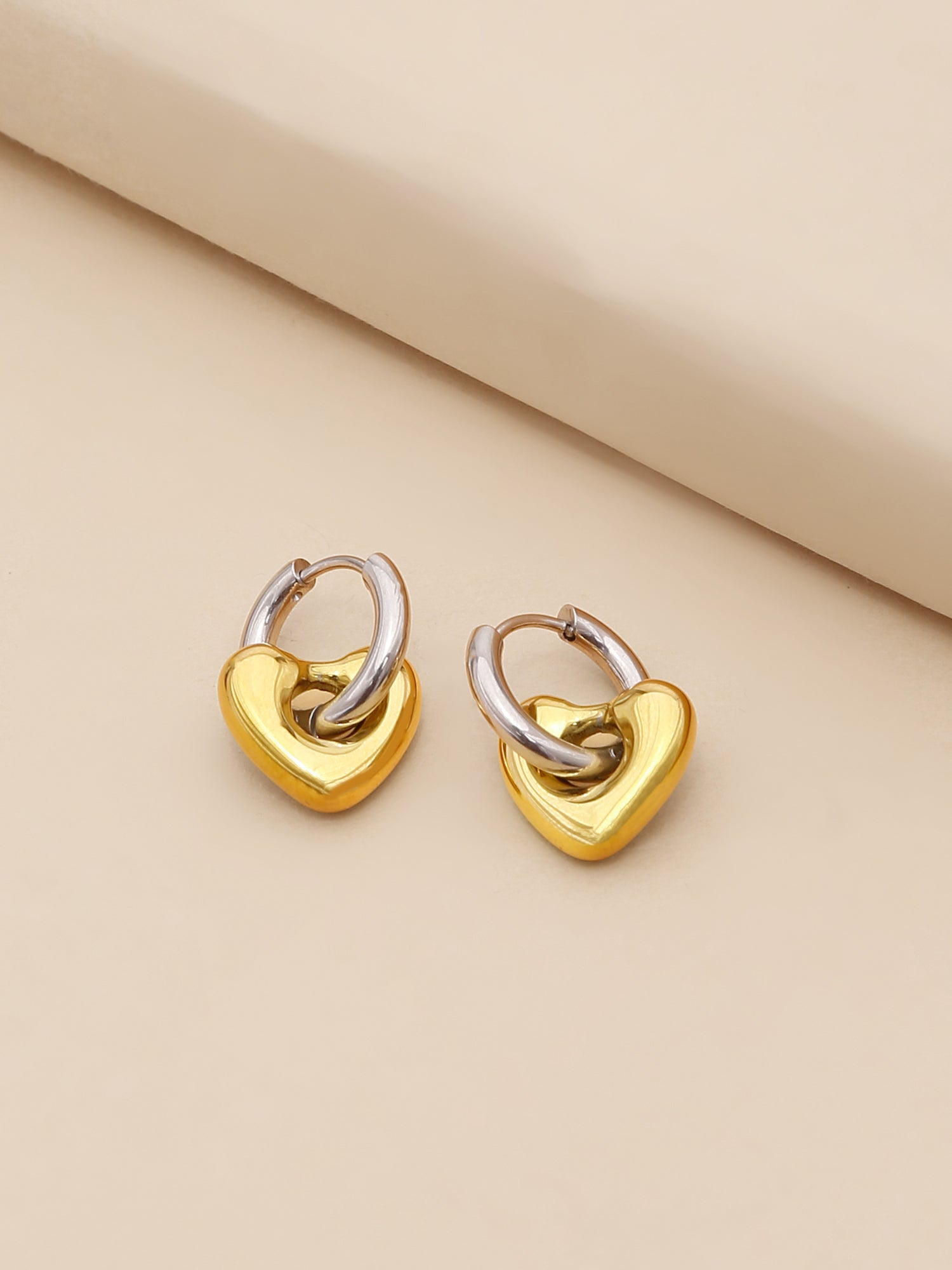 Two Toned [Earrings]