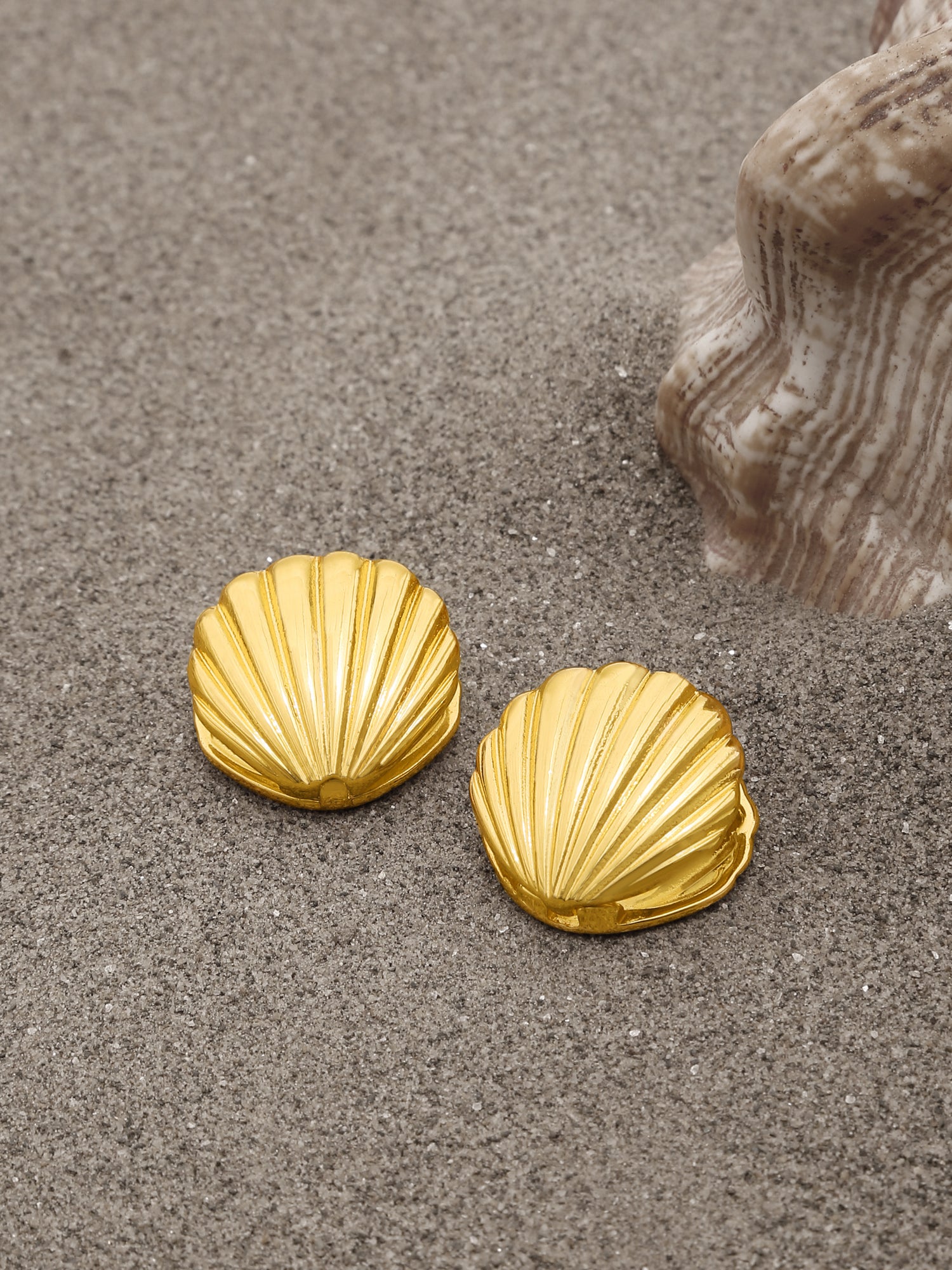 Double-Sided Seashell Stud Earrings