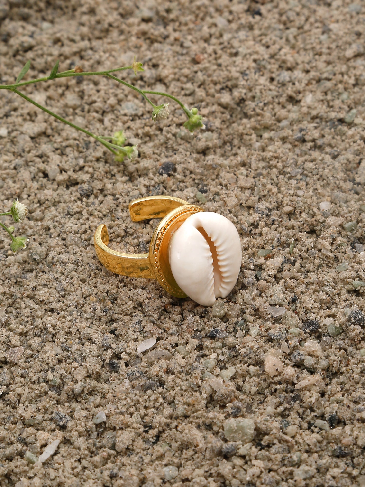 Light Luxury Cowrie Shell Statement Ring