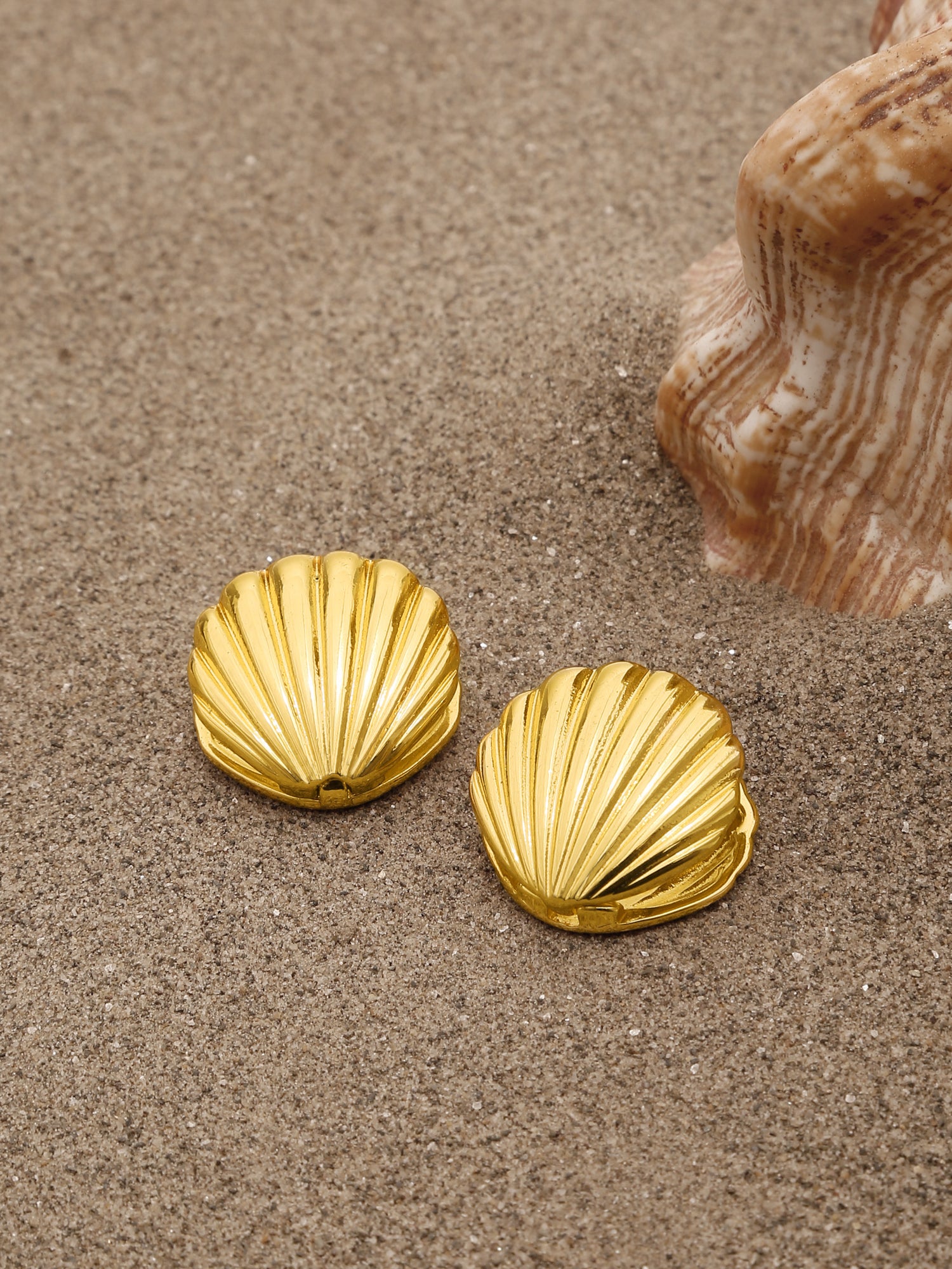 Double-Sided Seashell Stud Earrings