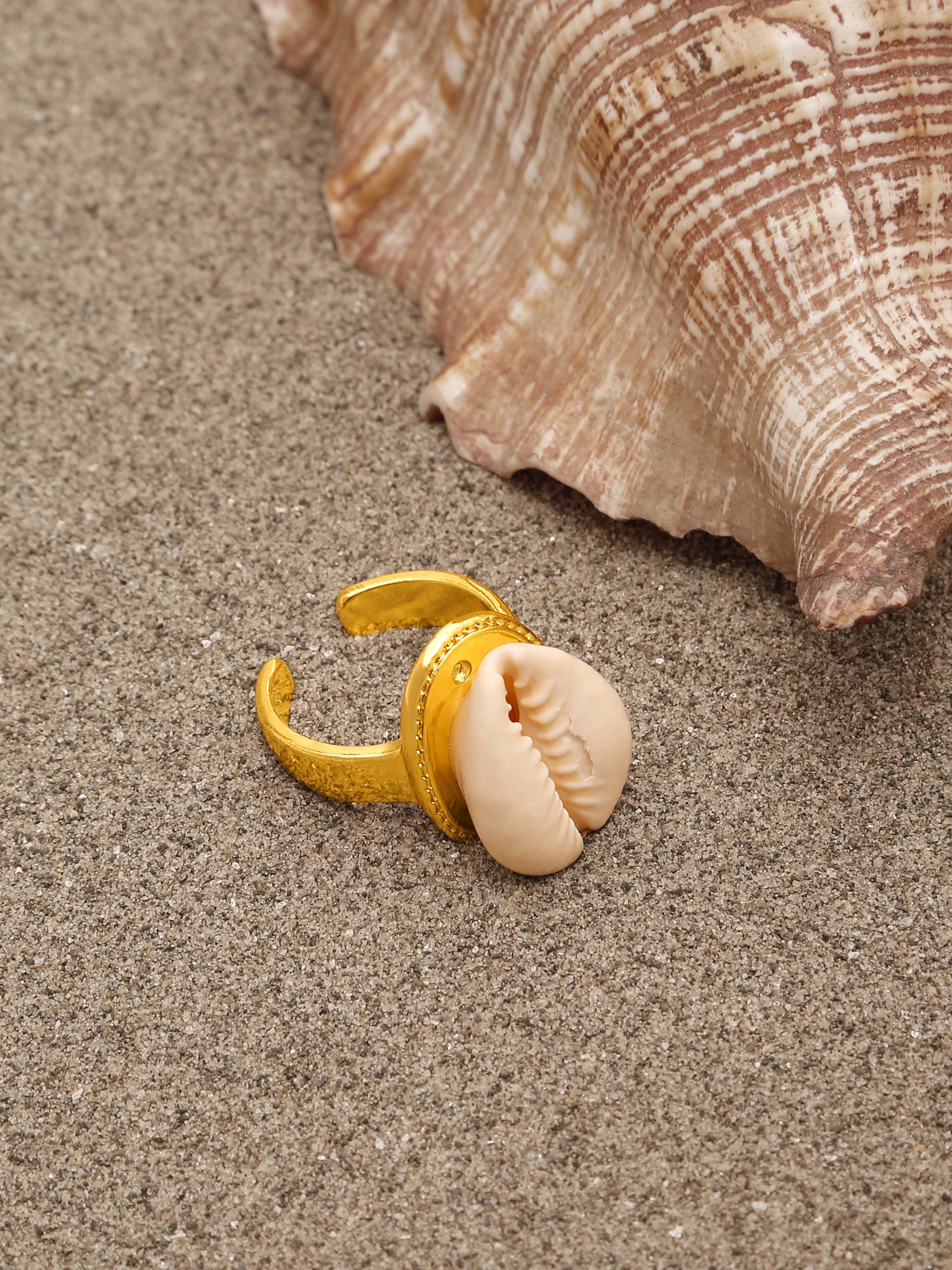 Big White Cowrie Shell Adjustable Gold Ring