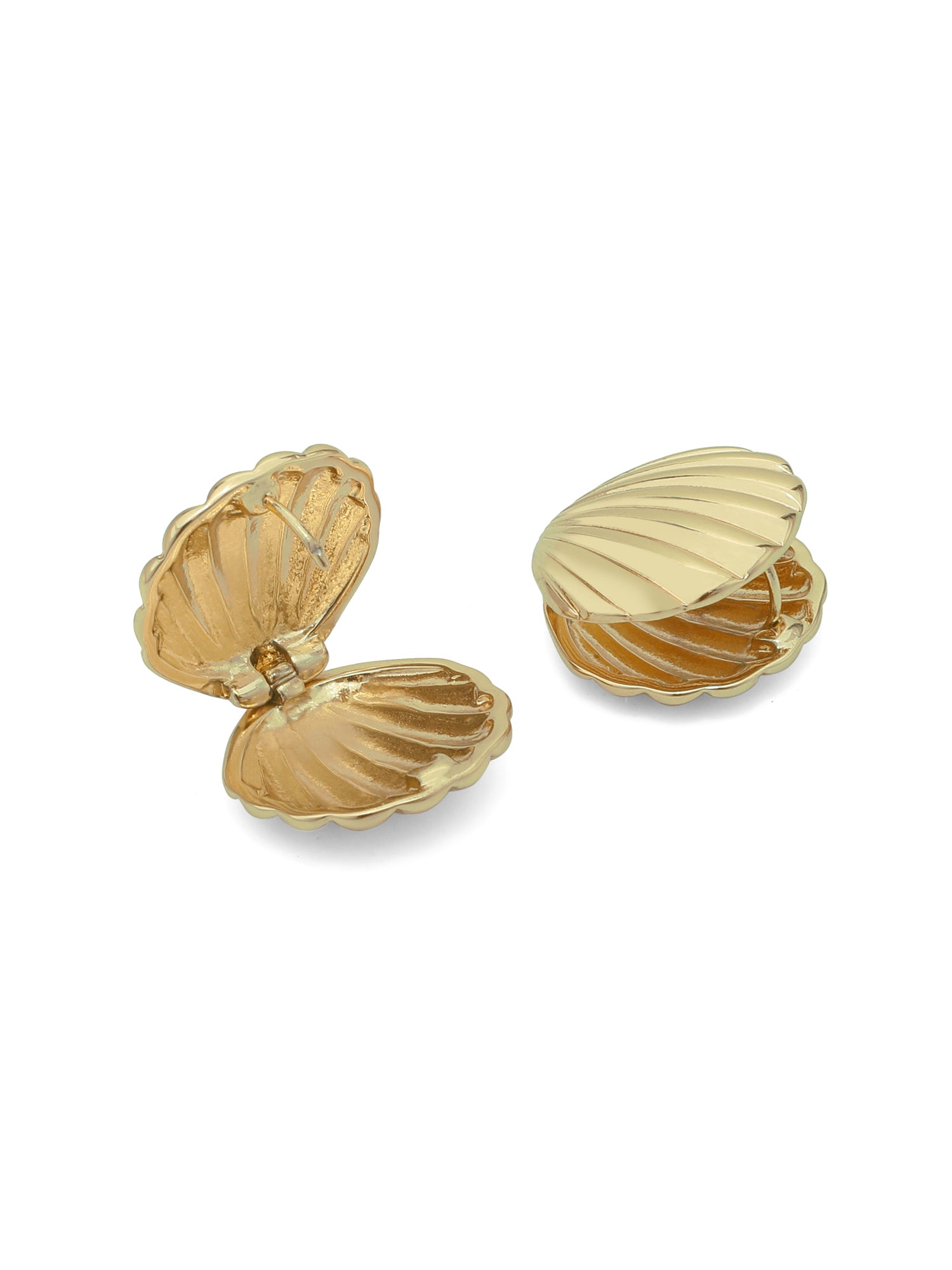 Double-Sided Seashell Stud Earrings