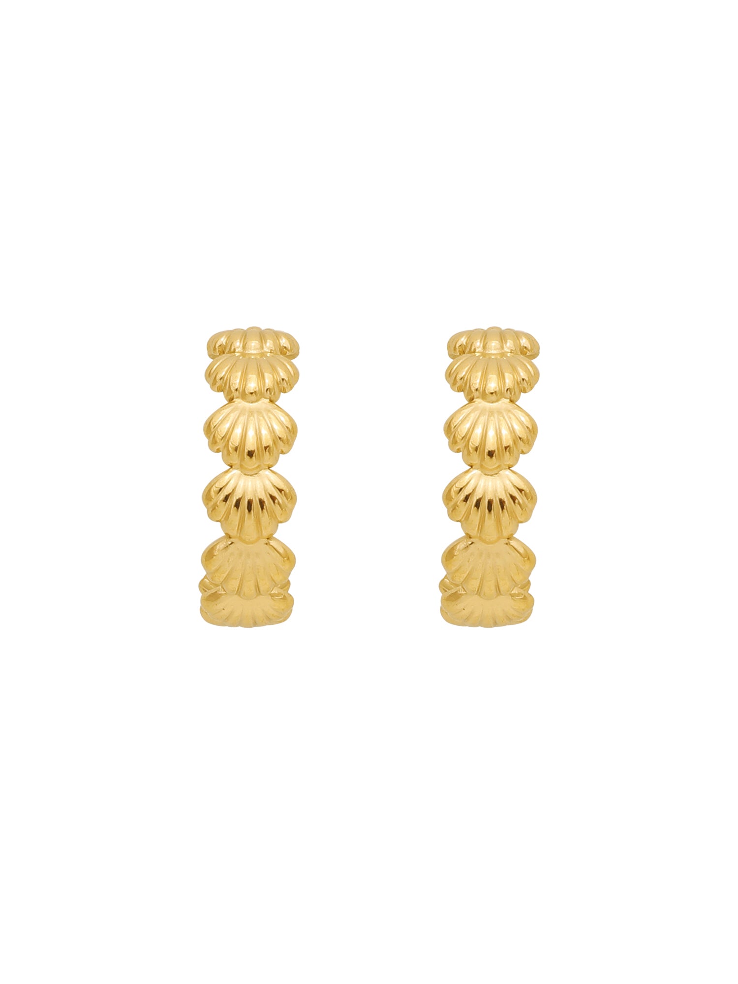 Golden Fan Shell C-shaped stud earrings
