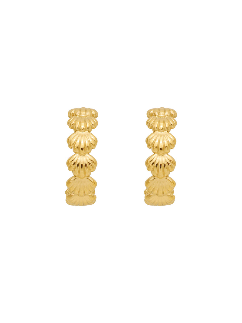 18k Gold Plated All Over Shell Stud Earrings