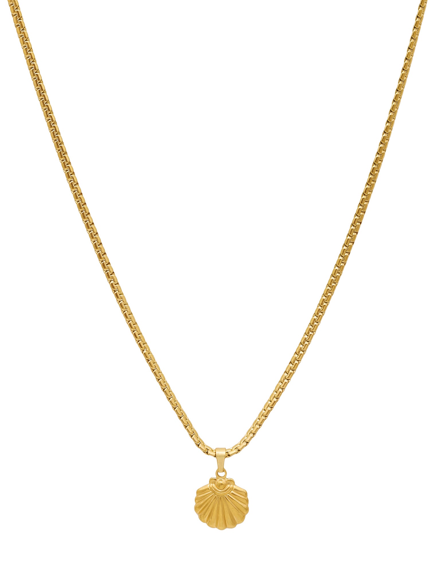 18K Gold Plated Dainty Small Shell Pendant with Snake Chain