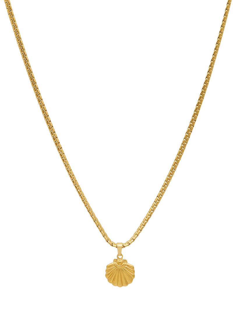 18K Gold Plated Dainty Small Shell Pendant with Snake Chain