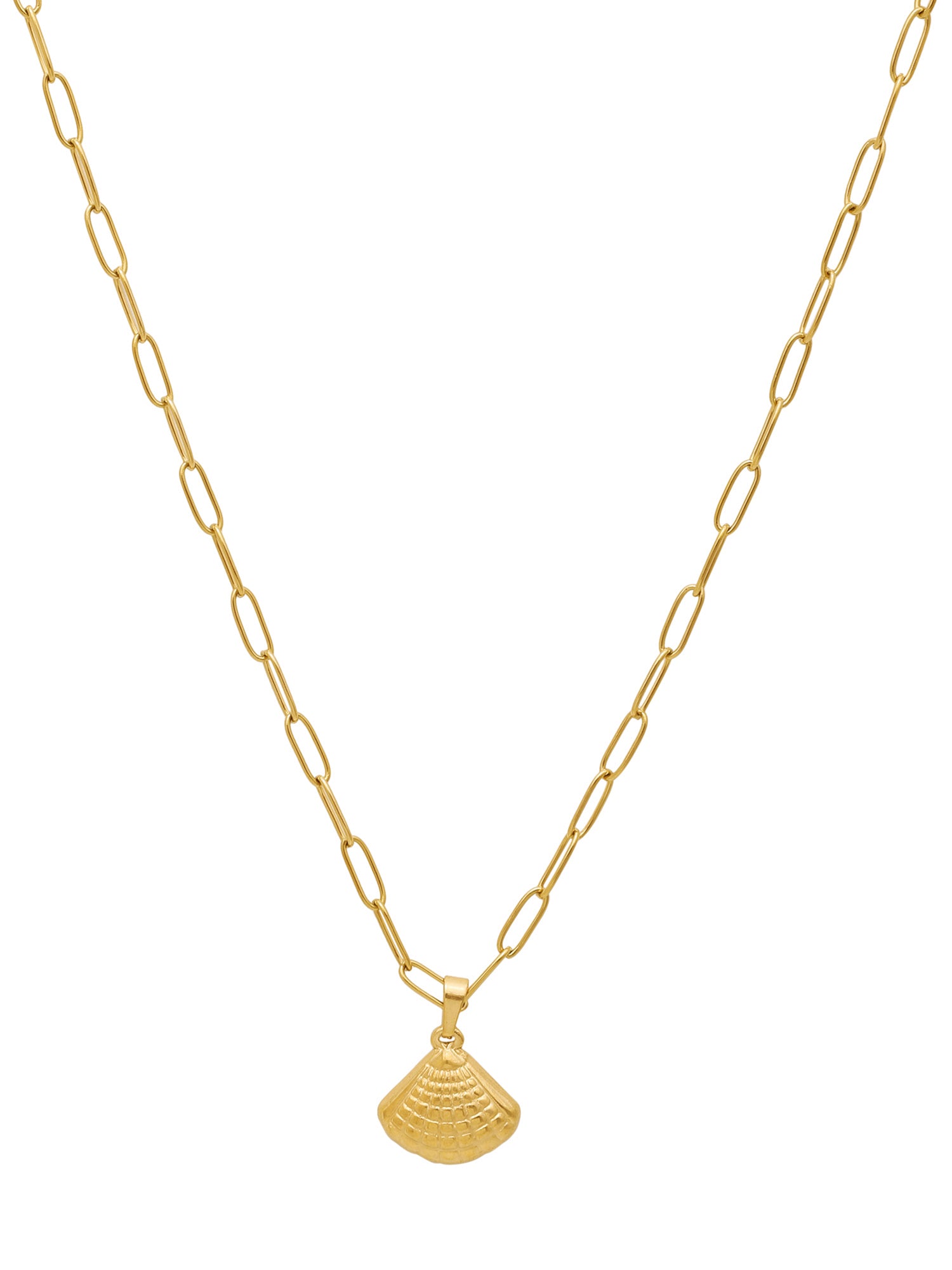 18K Gold Plated Dainty Small Shell Pendant with Link Chain