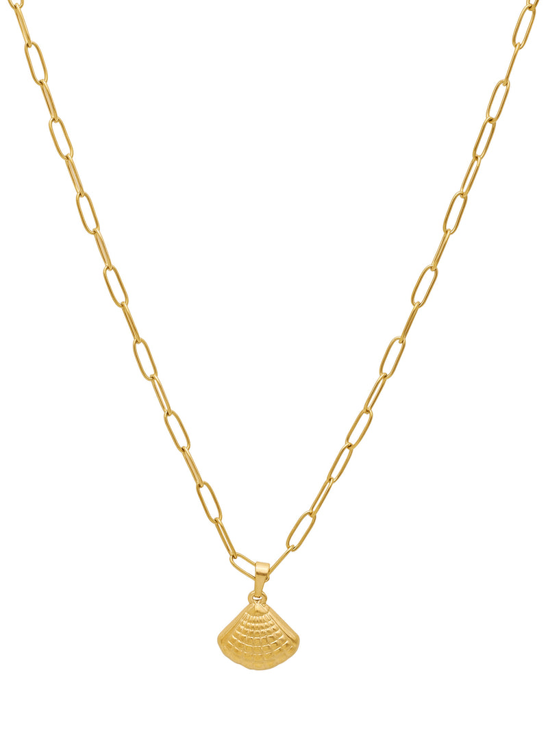 18K Gold Plated Dainty Small Shell Pendant with Link Chain
